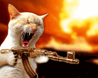 pic for cat with a weapon  250x200